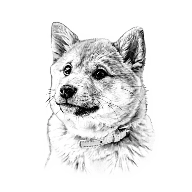 dog: Generated design